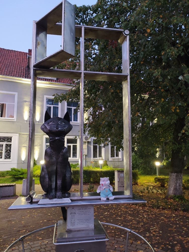 Фотография автора Дарья Петровская