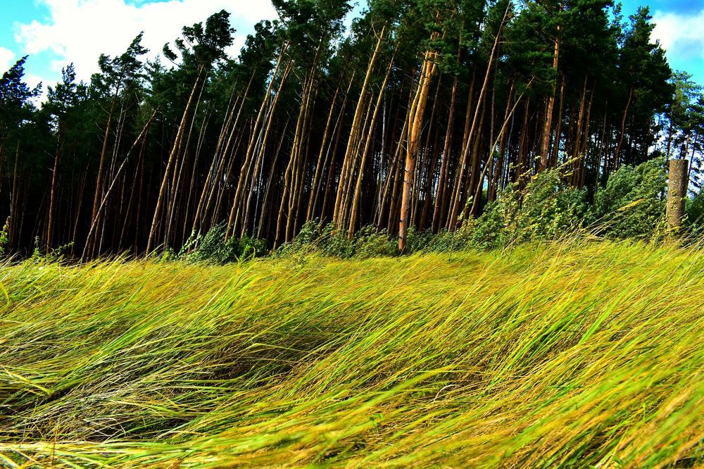 Photograph by Николай Абакумов