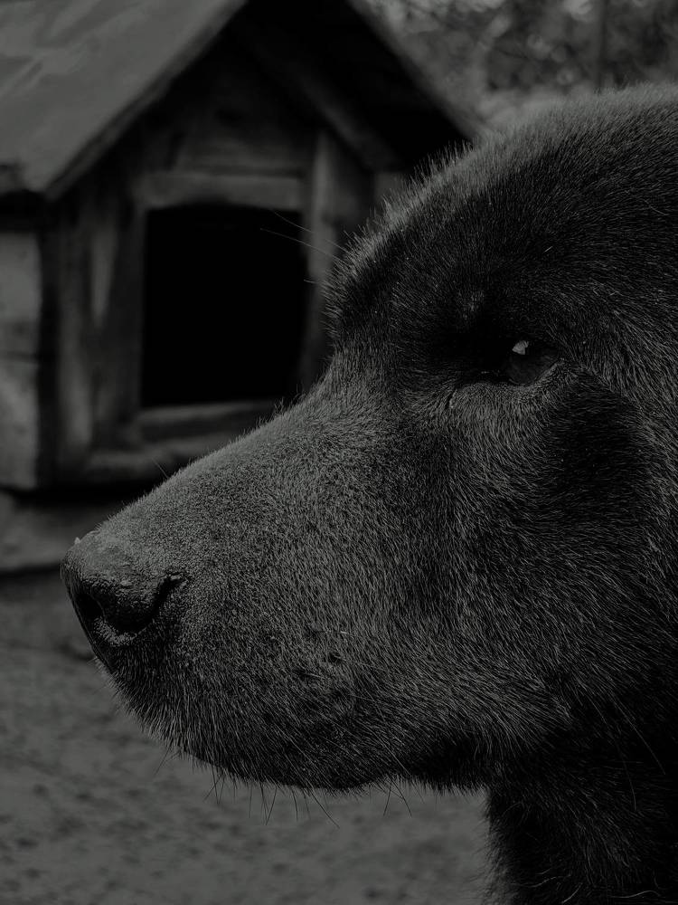 Фотография автора Ольга Панасюк