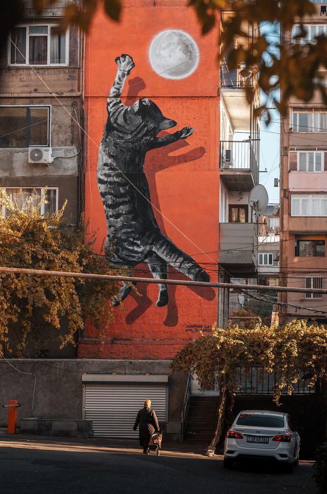 Jumping Cat