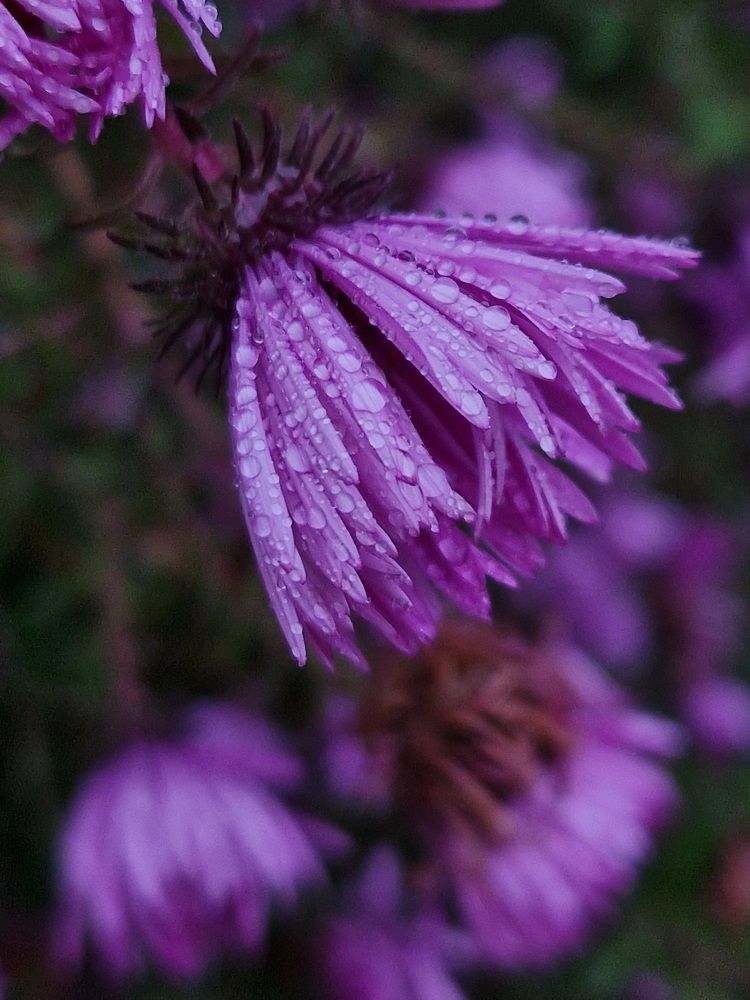 Photograph by Александра Воронина