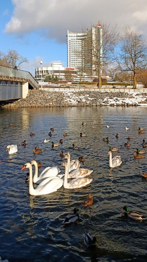 Photograph by Татьяна Яцкевич