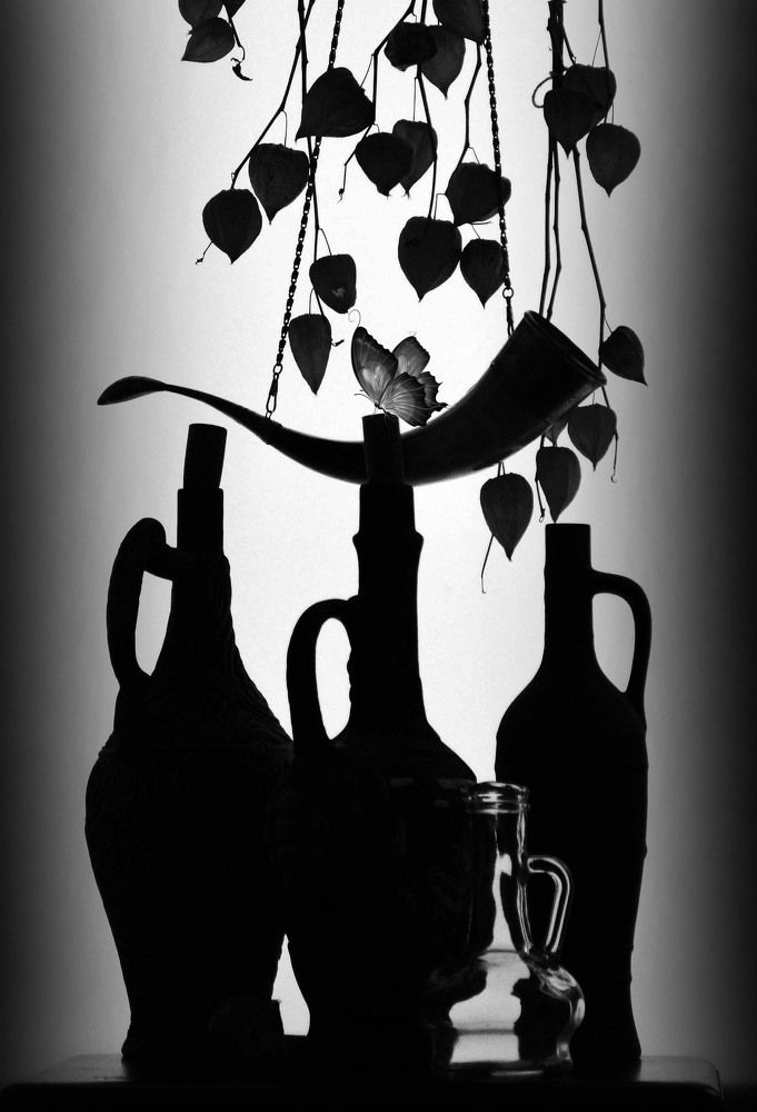 Photograph by Александр Зарх