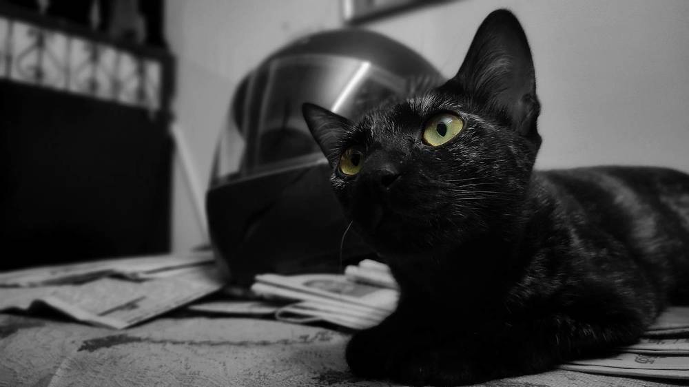 Фотография автора Santhosh Kumar