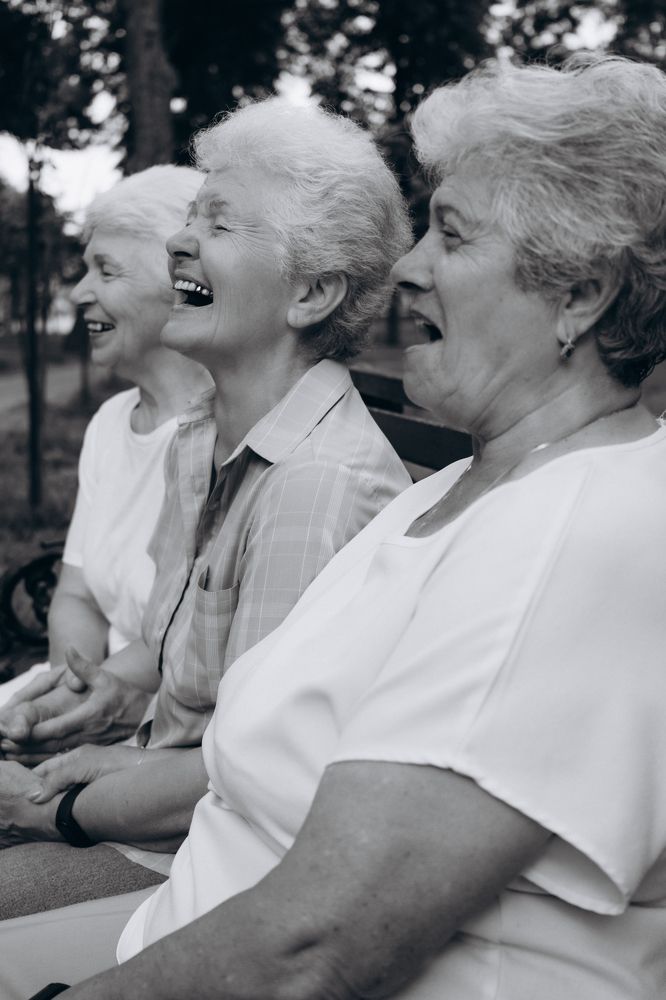 Photo #11306927
