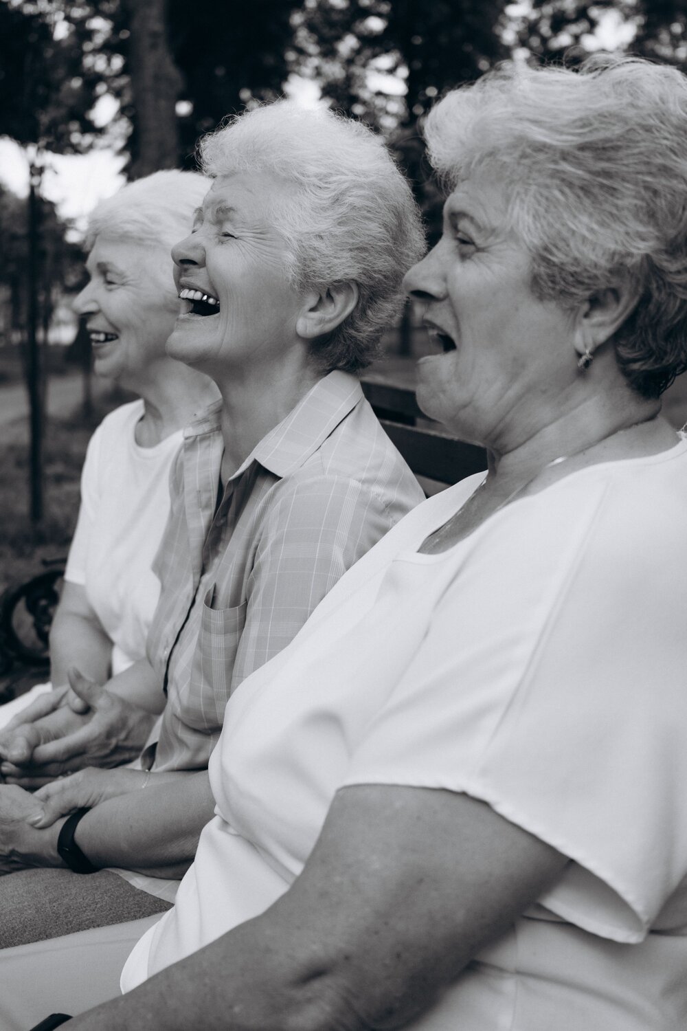 Photo #11306927