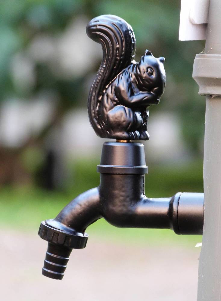 Photograph by GLEYDA GUTIÉREZ