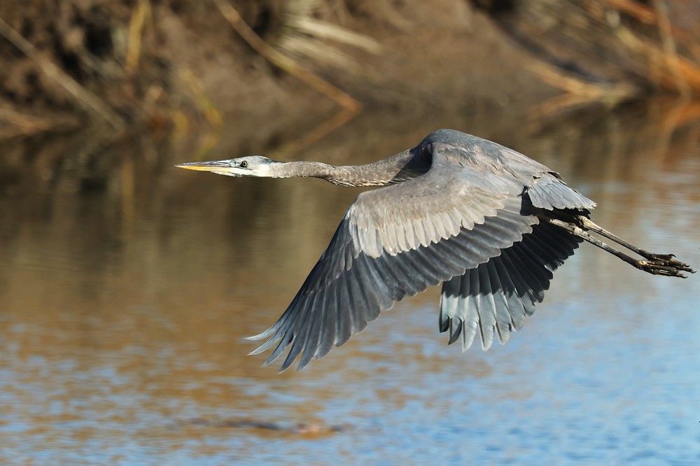 Photograph by Suhas Jadhav