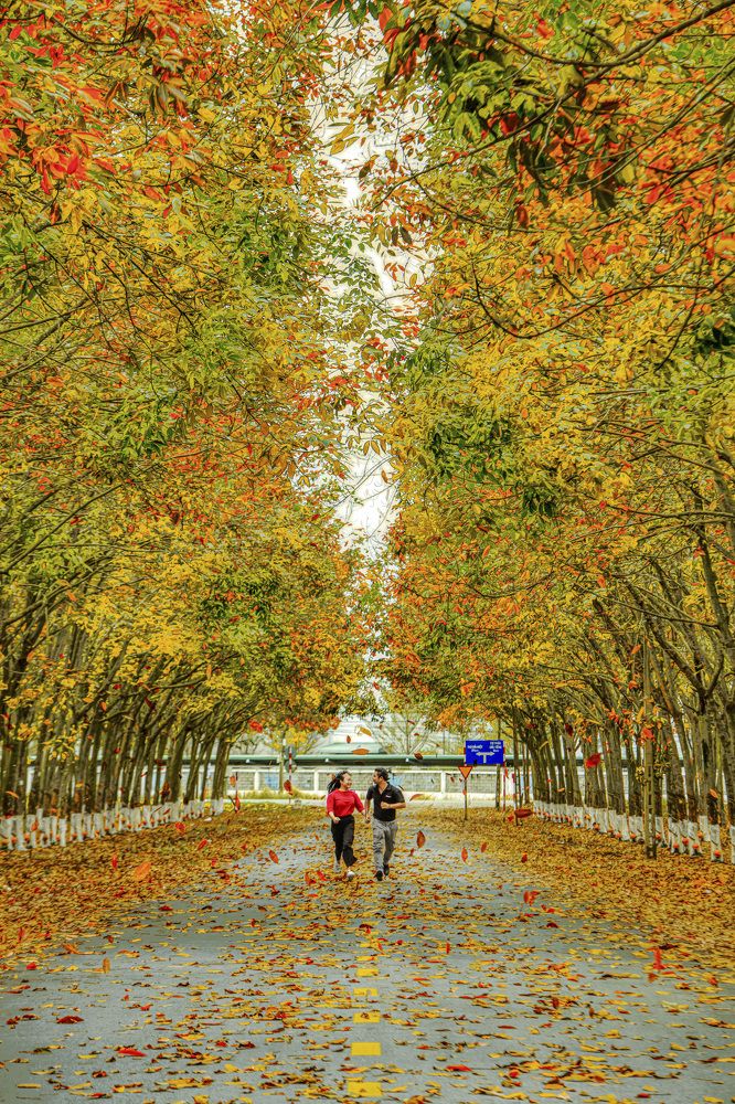 Photograph by Giang Nguyen Thi Tuyet