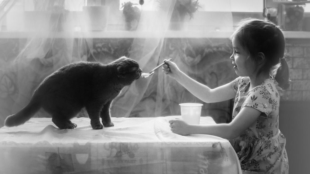 Photograph by Екатерина Леонова