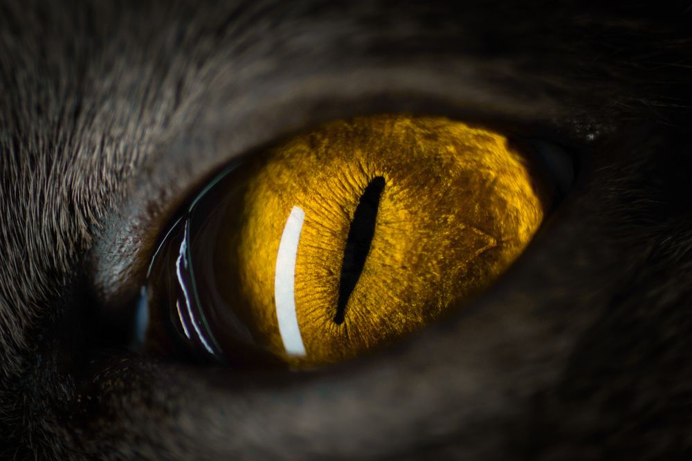 Photograph by Екатерина Леонова