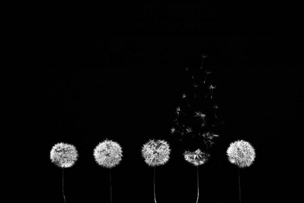 Photograph by Екатерина Леонова