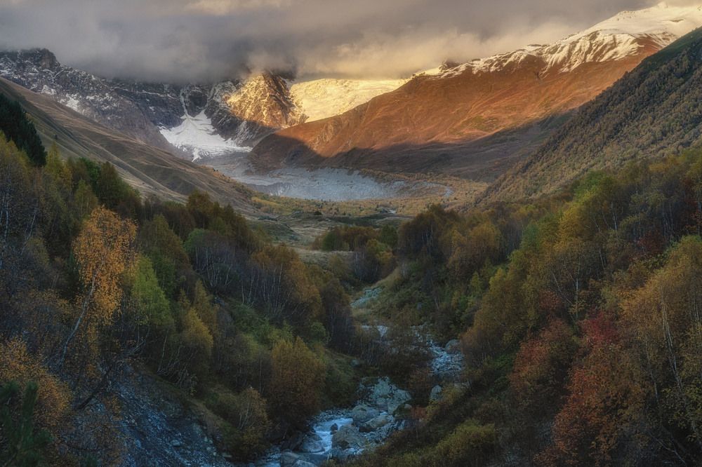 Photograph by Olga Sharikova