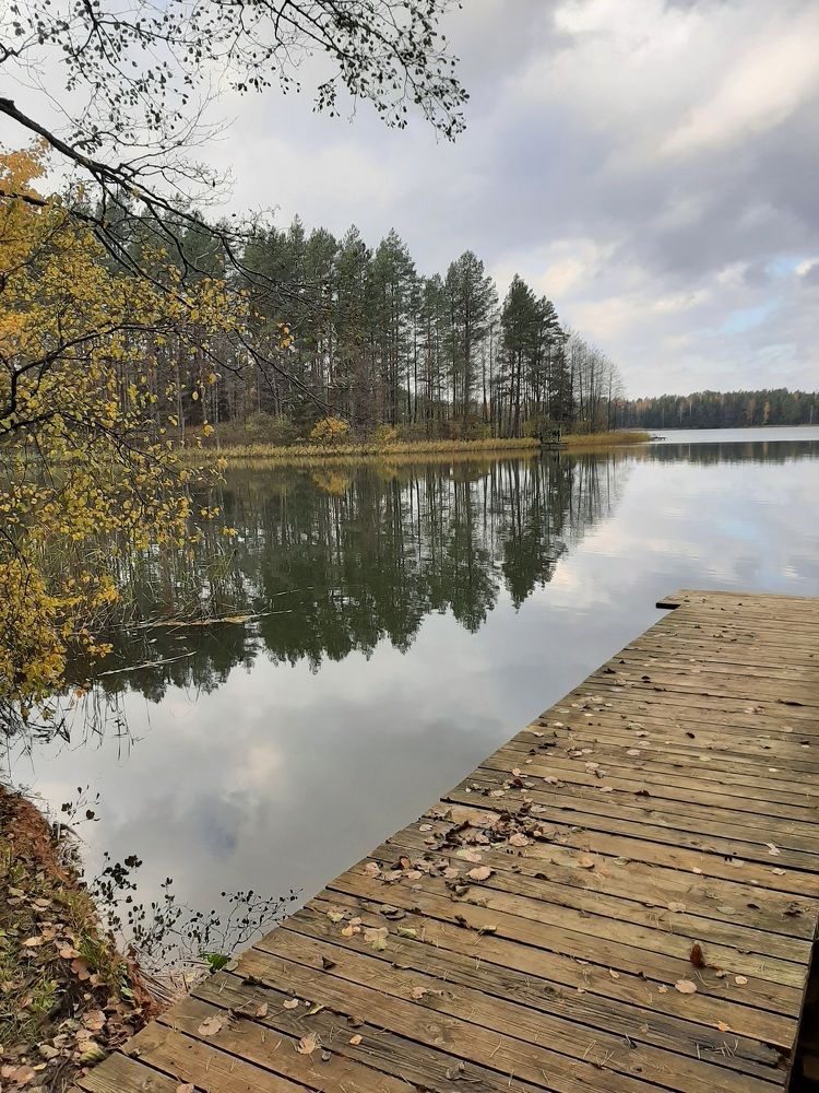 Photograph by Кадушкевич Елена