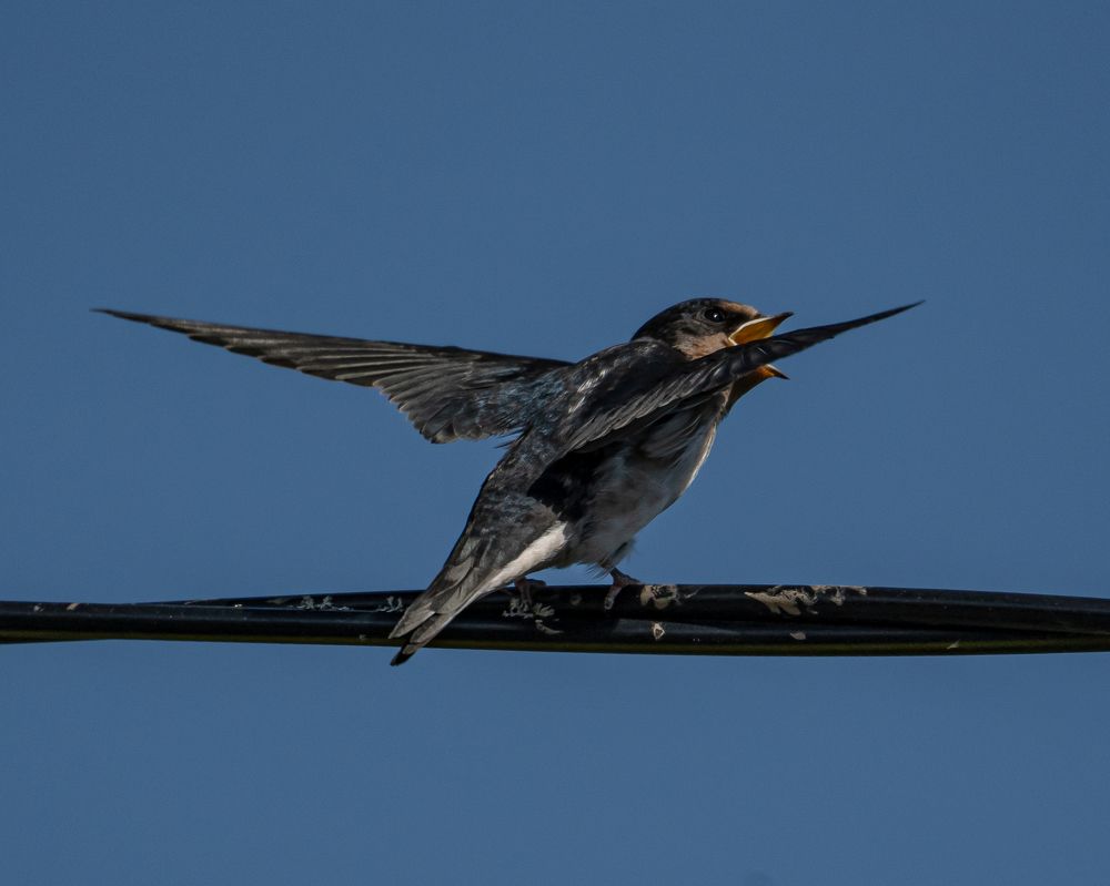 Photograph by Tatiana Grinko