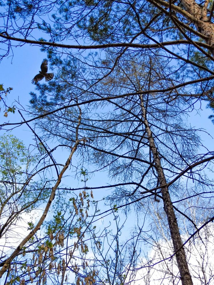 Photograph by Анжелика Трошина