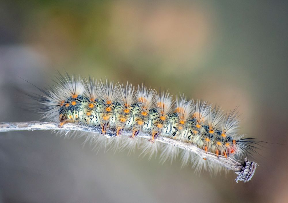 Photograph by Ismail SAIDI