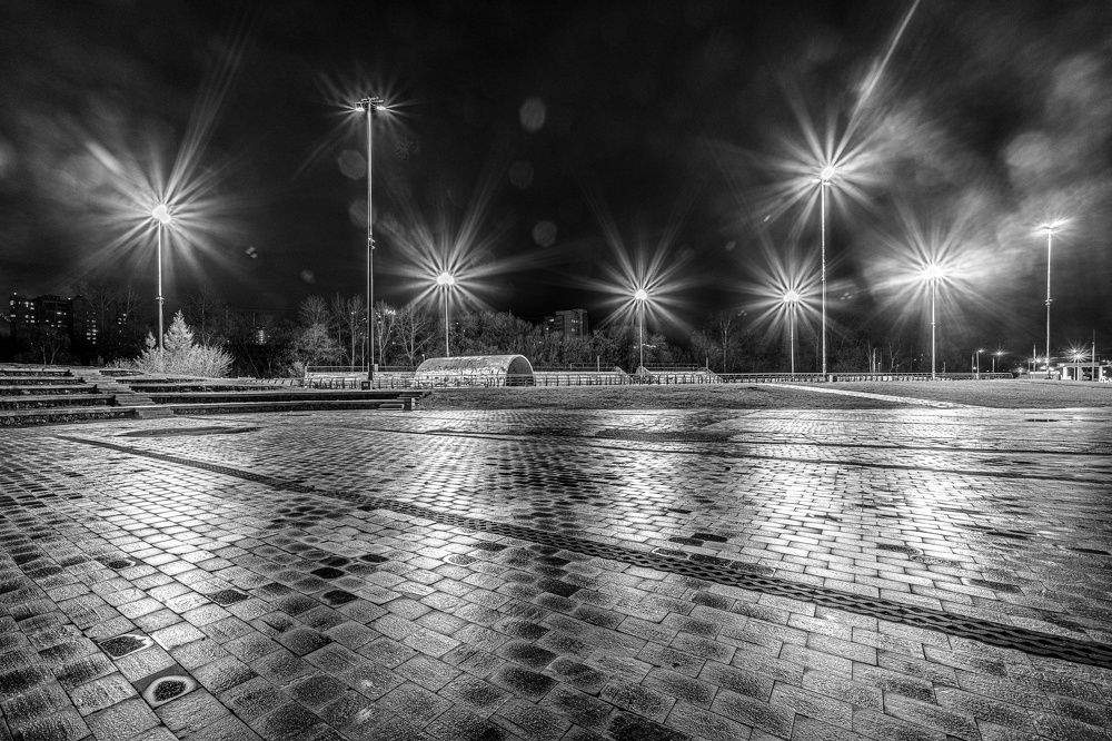 городские одуванчики