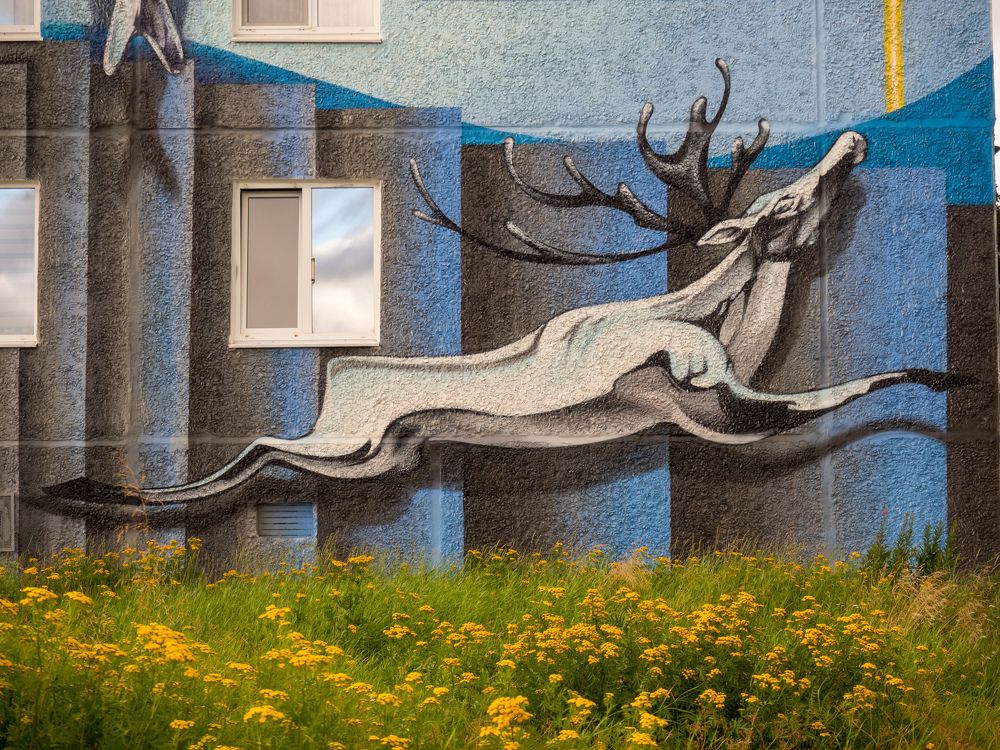 Photograph by Шейко Анна