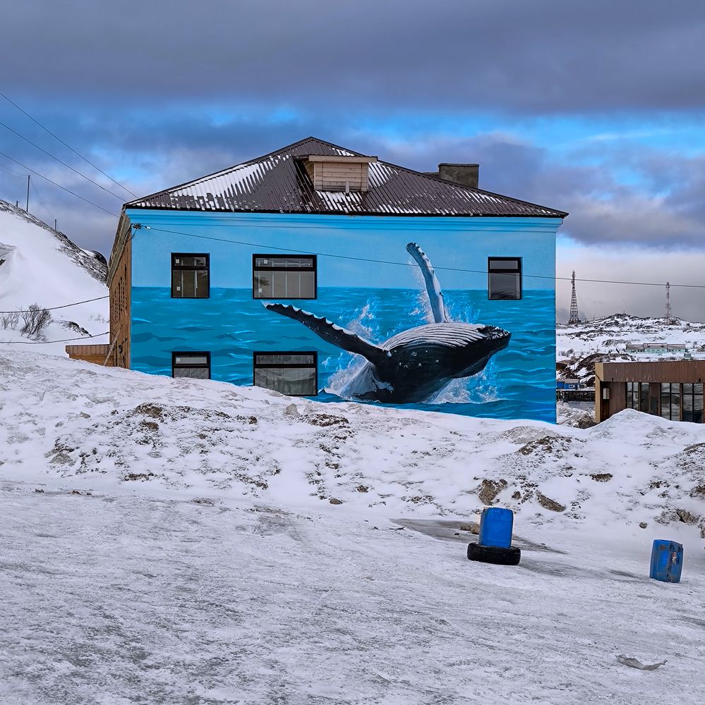 Photograph by Шейко Анна