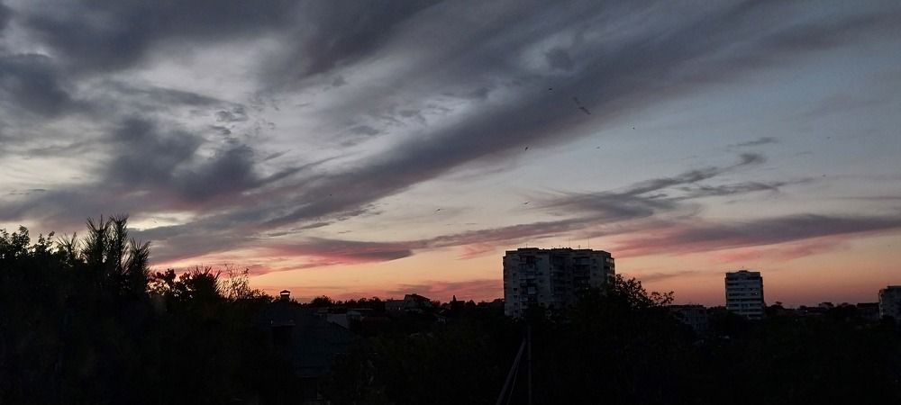 Photograph by Людмила Липаткина