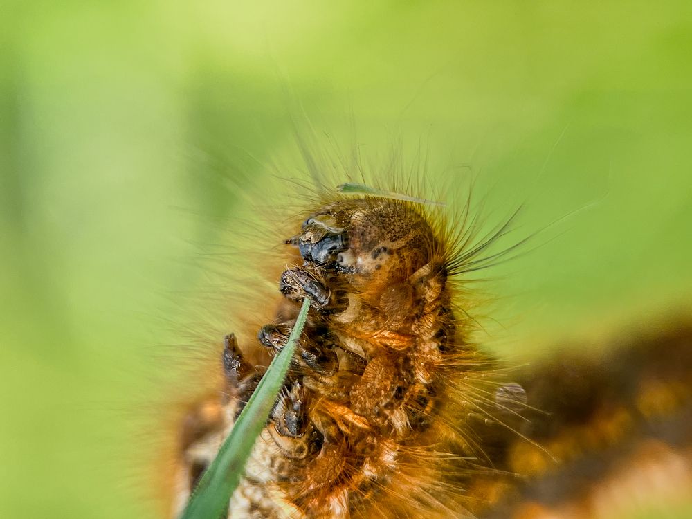 Photograph by Tatiana Grinko