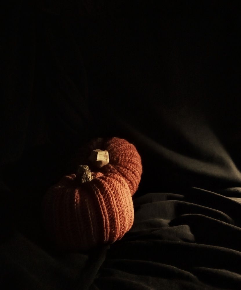 Photo #11307159