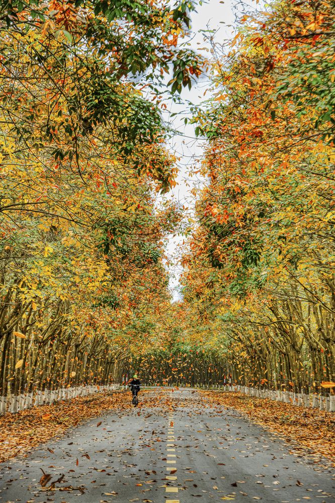 Photograph by Giang Nguyen Thi Tuyet