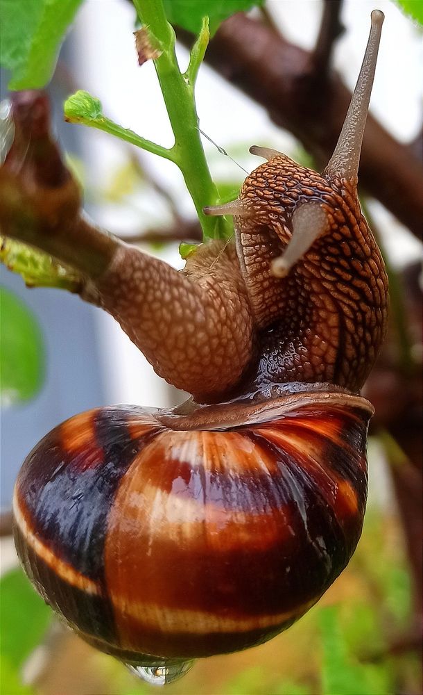 Photograph by Ольга Тихонова