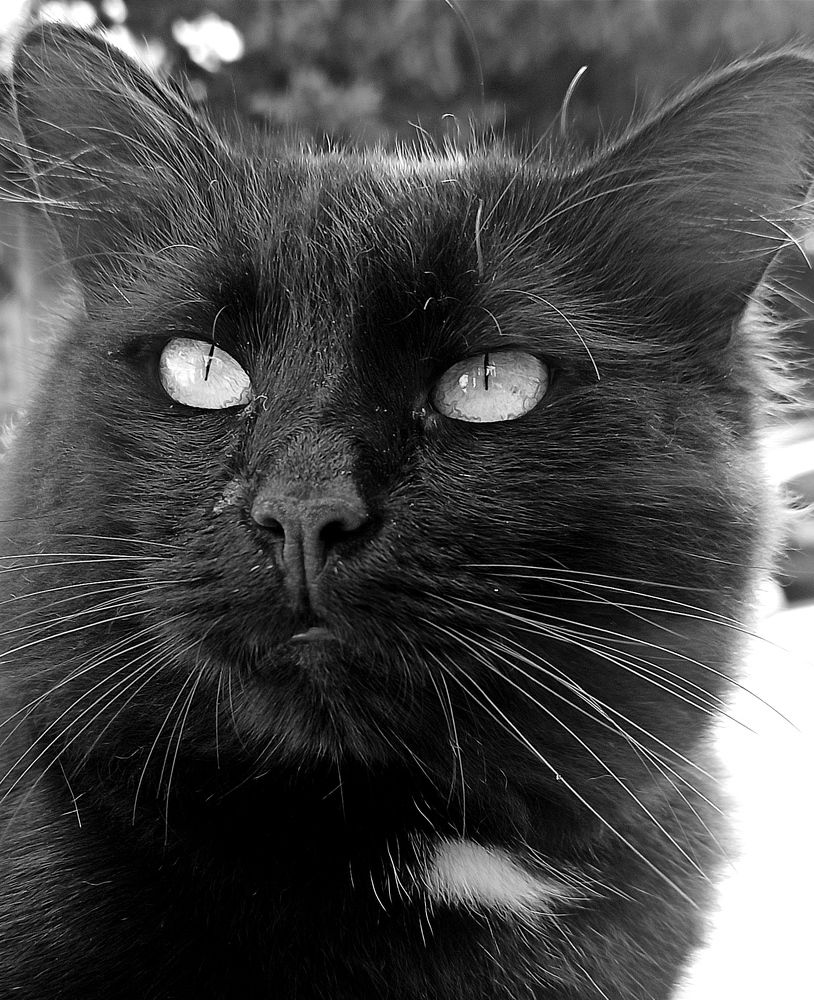 Photograph by Ольга Тихонова