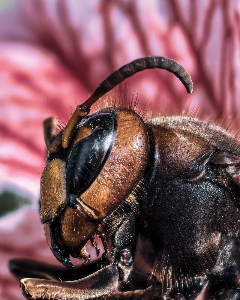 Фотография автора Юра Кладухин