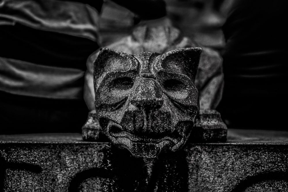 Photograph by Frederico Molini