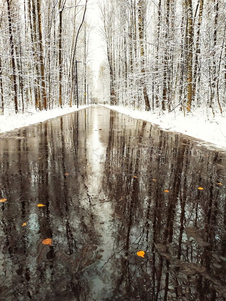 Photograph by Любовь Сухова