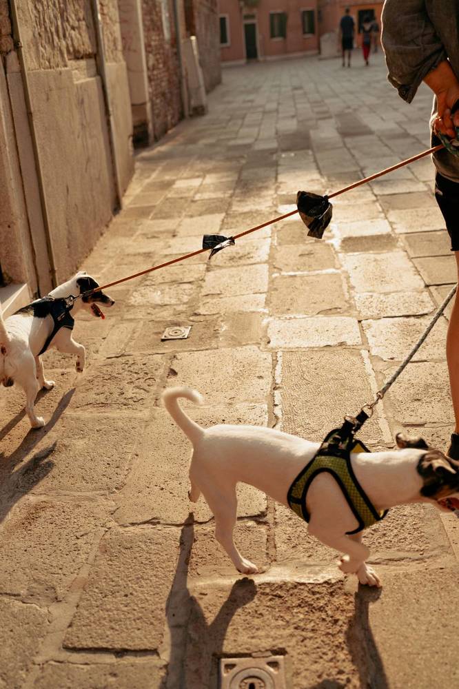 Фотография автора Valeriia Zhadan