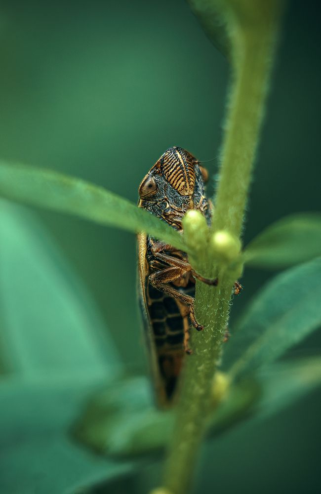 Photograph by Andrey Rut