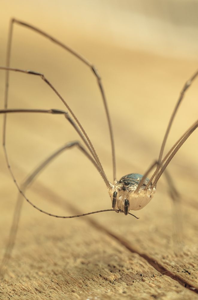 Photograph by Andrey Rut