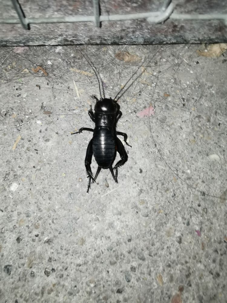 Photograph by Nikolett Mengyi