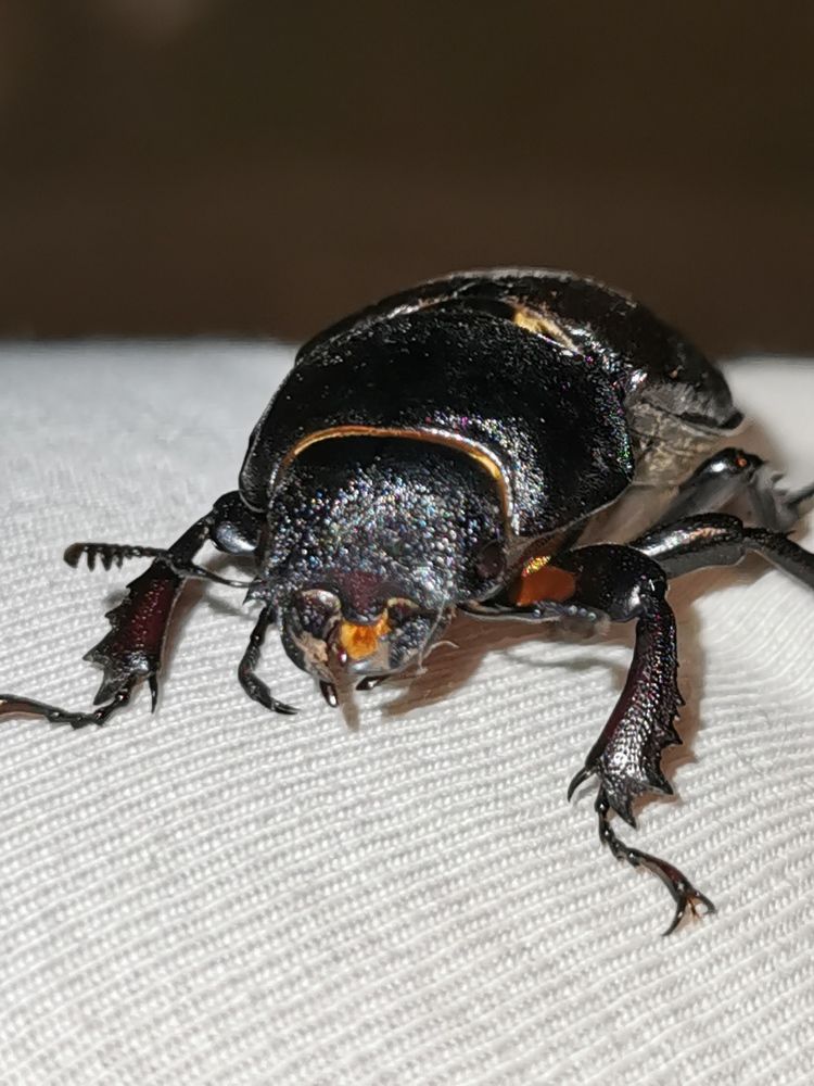 Photograph by Nikolett Mengyi