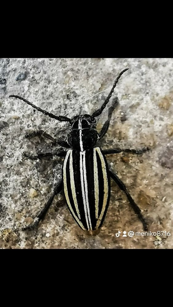 Photograph by Nikolett Mengyi