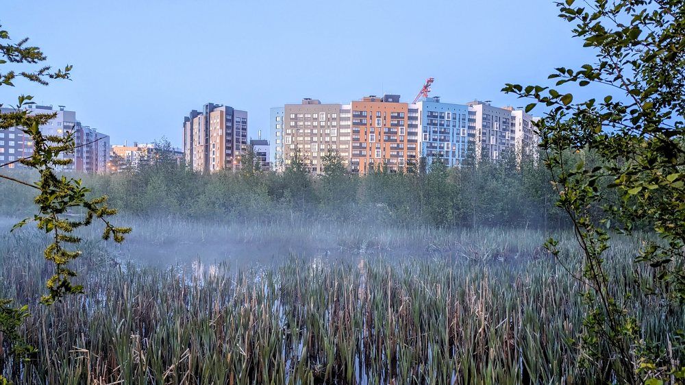 Photograph by Anastasiia