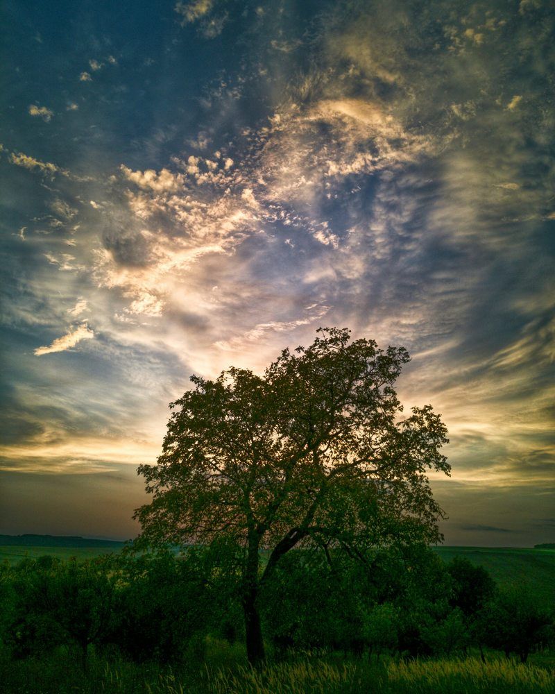 Photograph by Nikolett Mengyi