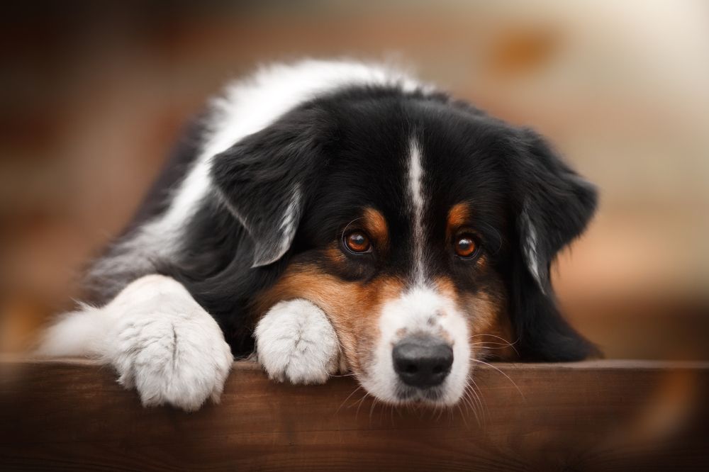 Photograph by Евгения Костусева