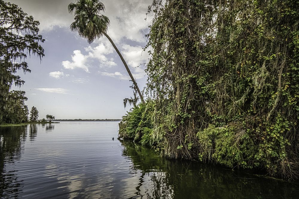 Фотография автора Ray Asiala