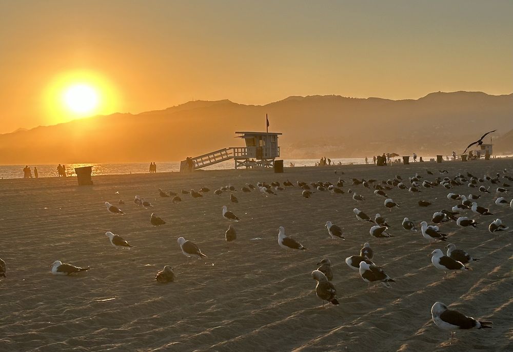 Photograph by Светлана Ионова