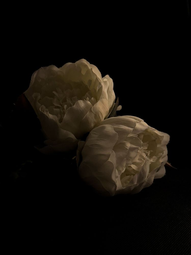 Photograph by Аlina BRAZIUL