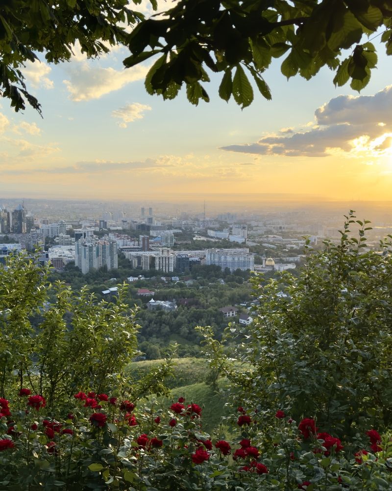 Photograph by Ольга Бибекина