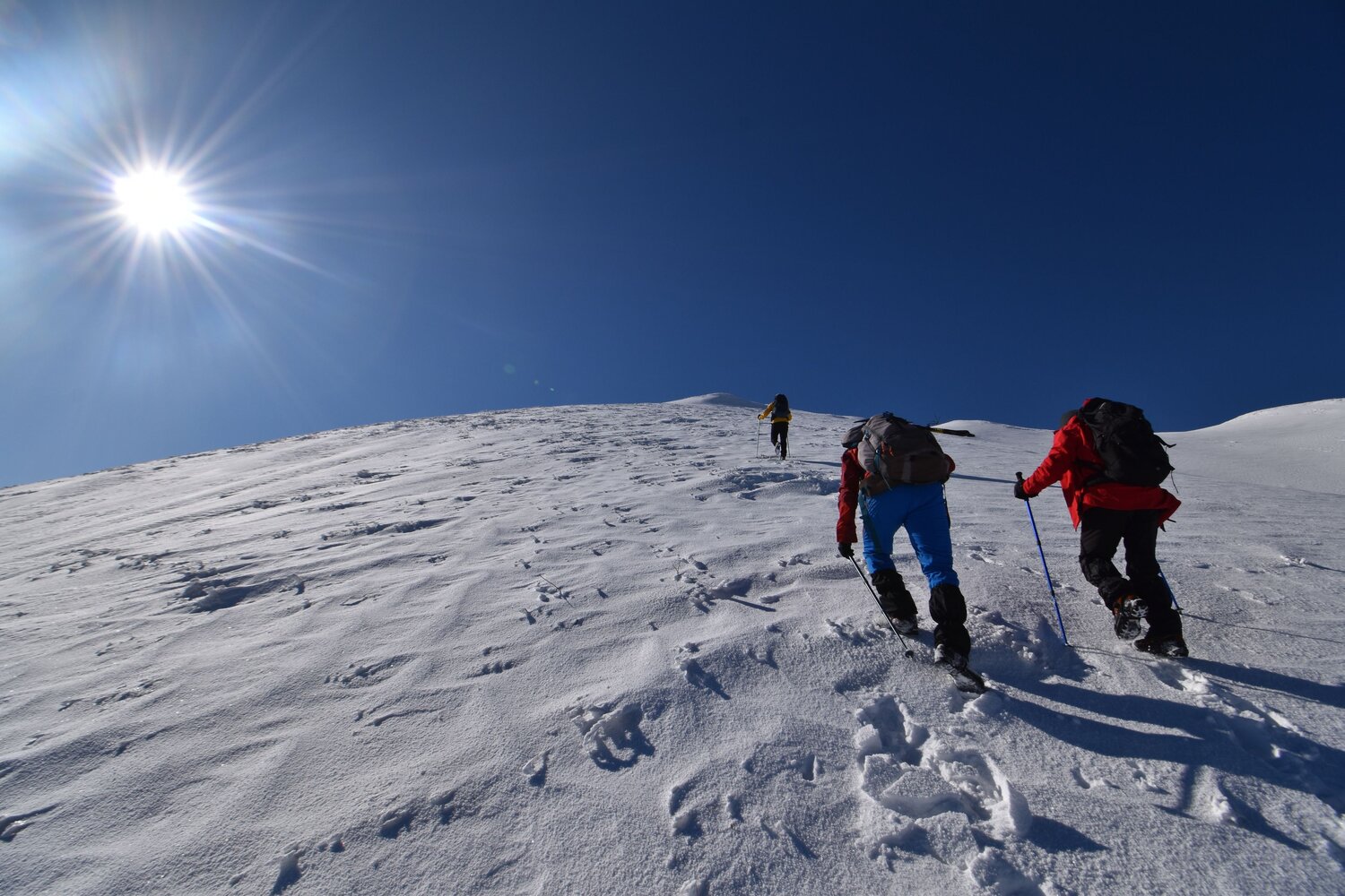 Photo #11307485