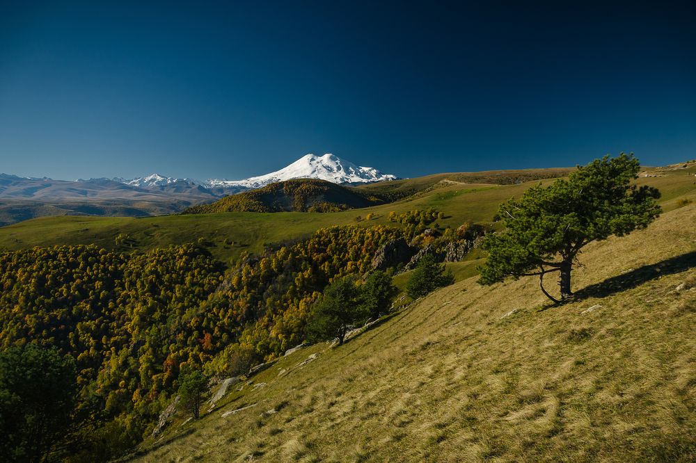 Photograph by Татьяна Агеева