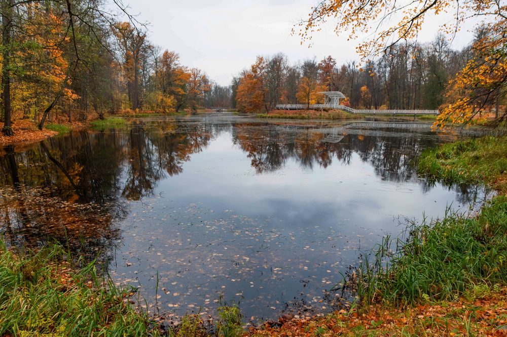 Photograph by Galina