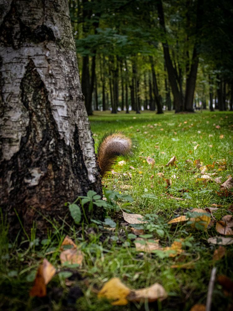 Photograph by Светлана
